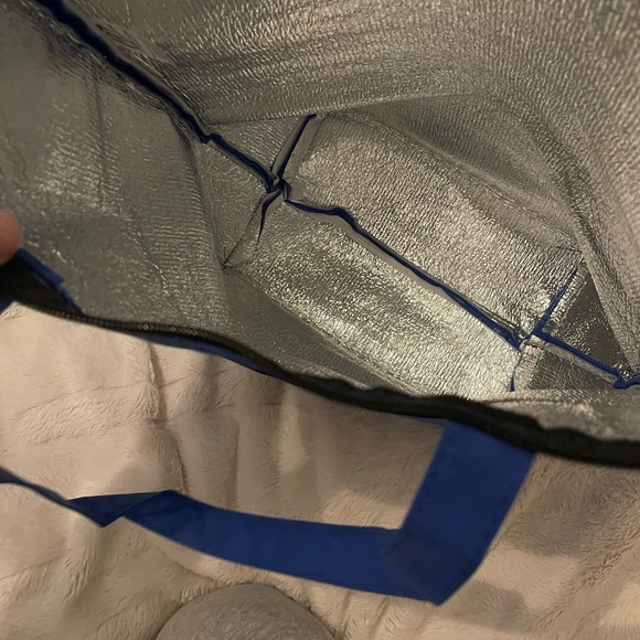 Disney Collector Insulated Tote Bag - Picture 4 of 4